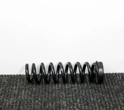 BMW X1 E84 Rear coil spring 6764419