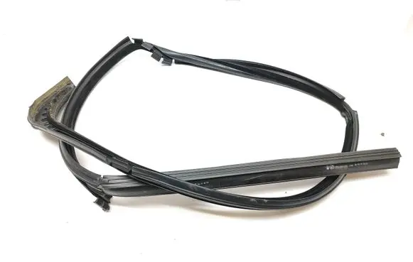 Renault Trafic III (X82) Rubber seal front door window/glass 