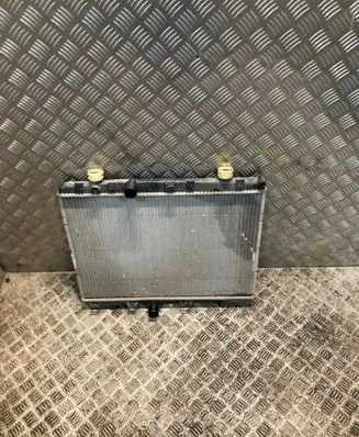 Opel Crossland X Coolant radiator 873460200