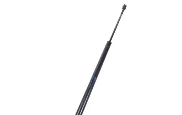 Tailgate strut