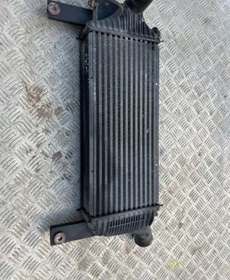 Nissan Pathfinder R51 Intercooler radiator 14461EB360