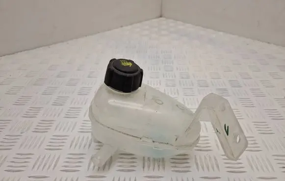 Renault Scenic E-Tech V Coolant expansion tank/reservoir 217115810B