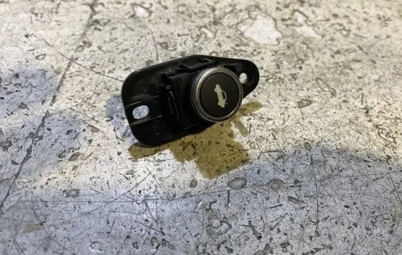 Tailgate opening switch
