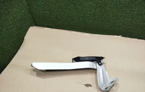 Opel Movano B Engine bonnet/hood hinges 654010006R