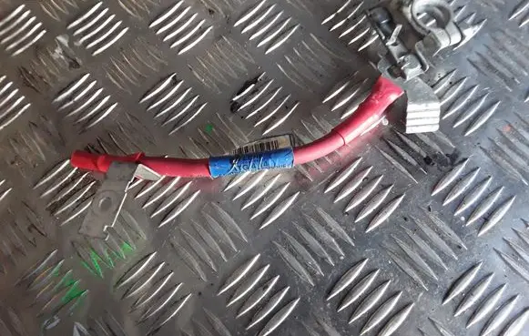 Opel Vivaro Positive cable (battery) 243866500