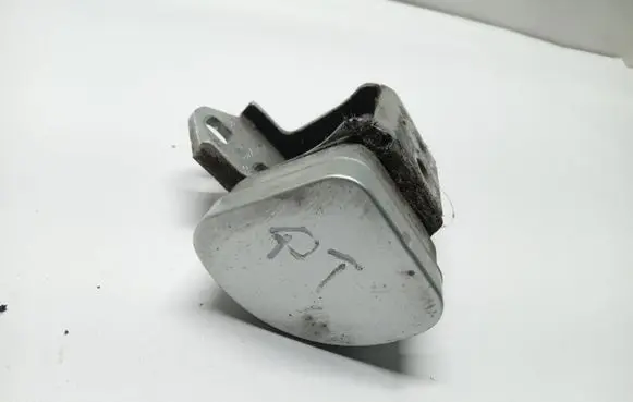 Renault Scenic II - Grand scenic II Rear door lower hinge