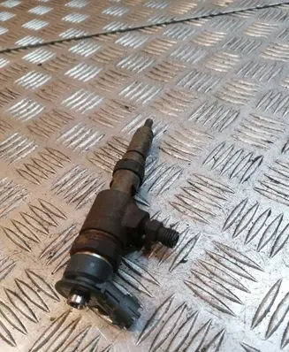 Peugeot 207 Fuel injector 565889 0445110252