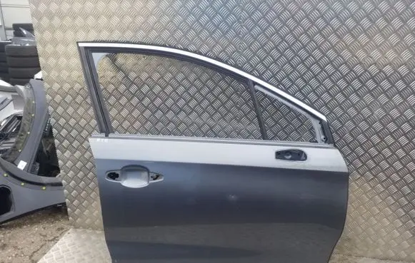 Citroen DS4 Front door