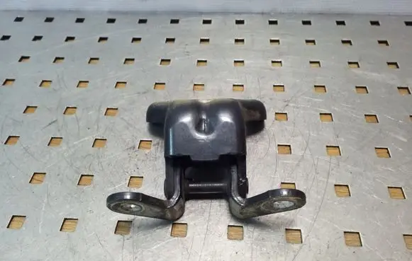 Opel Antara Rear door lower hinge