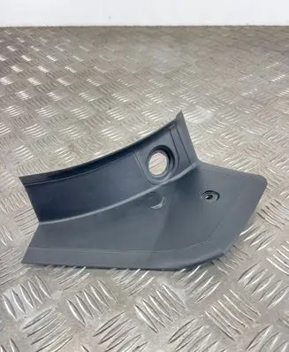 Rear/tail light trim molding