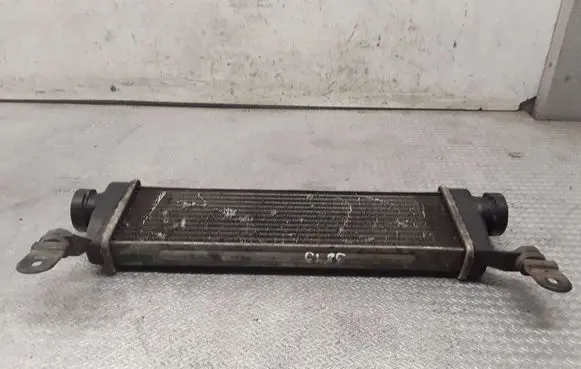Mercedes-Benz Vaneo W414 Intercooler radiator A1685000000