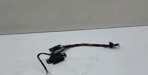 BMW X3 F25 Other wiring loom 6954580