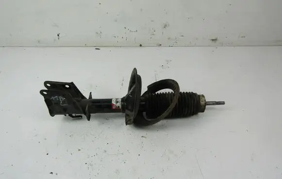 Fiat Doblo Front shock absorber/damper 