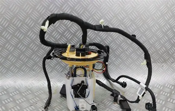 Ford Kuga III In-tank fuel pump LX619H307CA