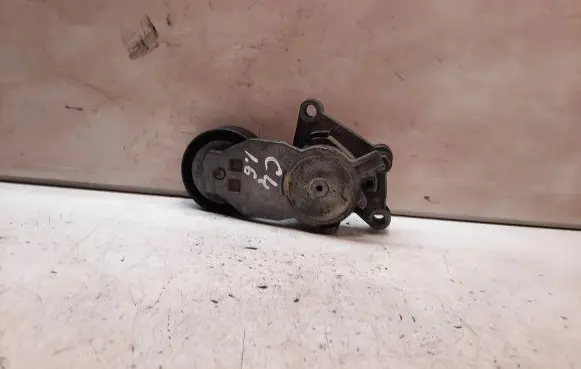 Citroen C4 I Alternator belt tensioner 419484