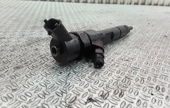 Renault Espace - Grand espace IV Fuel injector 8200100272 0445110110B