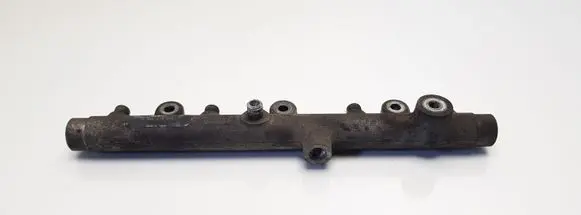 Peugeot 406 Fuel main line pipe 0445214019