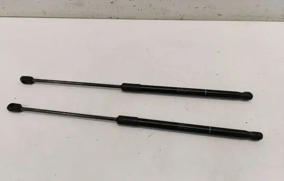 Tailgate/trunk strut/damper