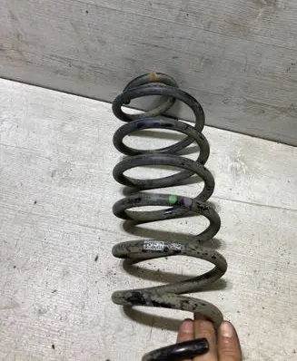 Rear coil spring