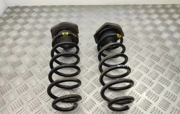 Nissan Qashqai Rear coil spring 550324EA0A