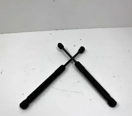 Ford Mustang VI Tailgate/trunk strut/damper FR3B63406A10BB