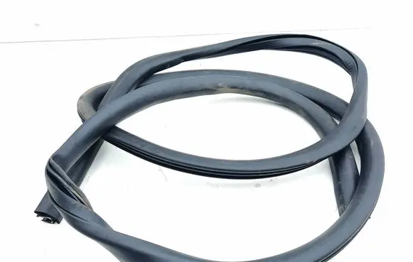 Ford Mustang Mach-E Rear door rubber seal (on body) LJ8BR20708