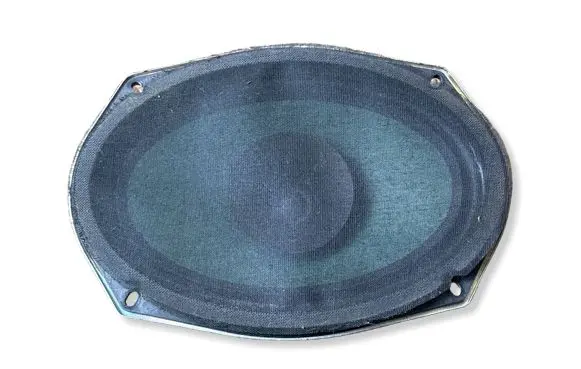 Dodge Charger Front door speaker 05091019AB