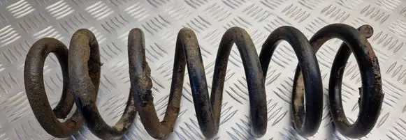Peugeot 406 Rear coil spring