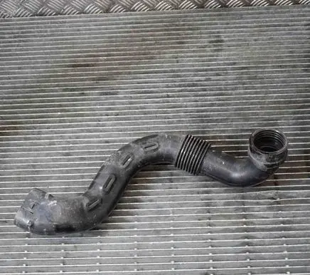Dacia Sandero Air intake hose/pipe 165556691R