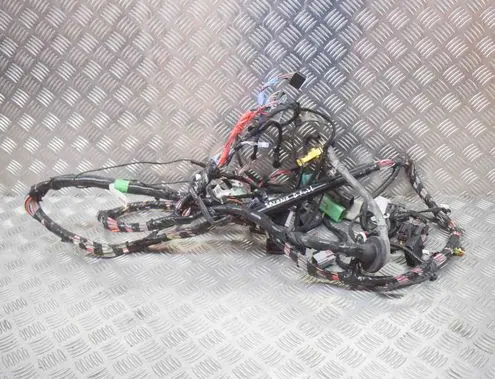 Tesla Model S Other wiring loom 107821300A