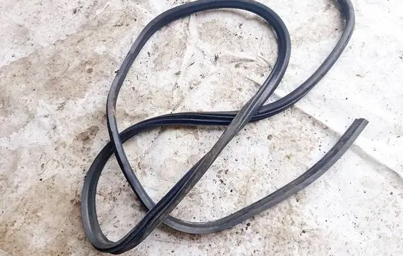 Renault Megane I Rubber seal front coupe door