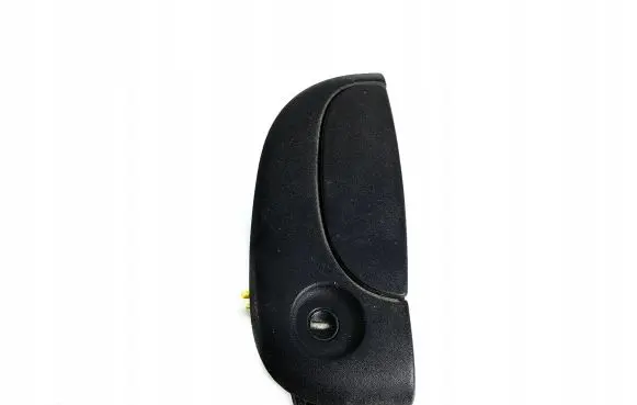 Renault Kangoo I Front door exterior handle 7700354479