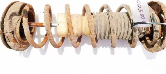 Rear coil spring