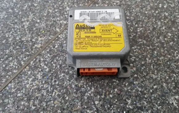 Peugeot 206 Airbag control unit/module 550541500