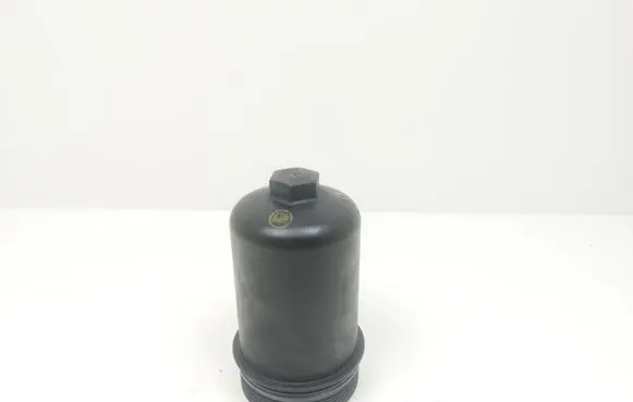 Peugeot 607 Oil filter cover 8516163