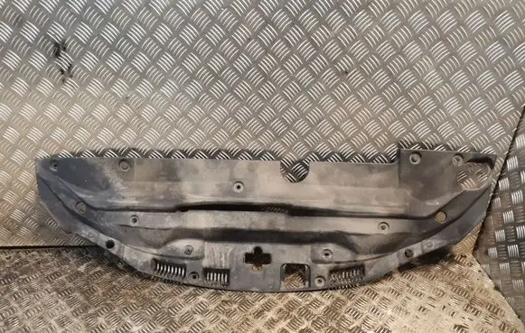 Lexus IS 220D-250-350 Radiator trim 5329553010