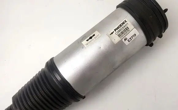 Mercedes-Benz S W220 Air suspension rear shock absorber 2203205113 AS-2193 220320243889