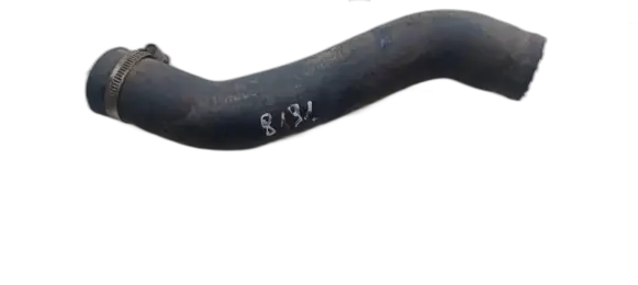 Nissan Almera Tino Intercooler hose/pipe