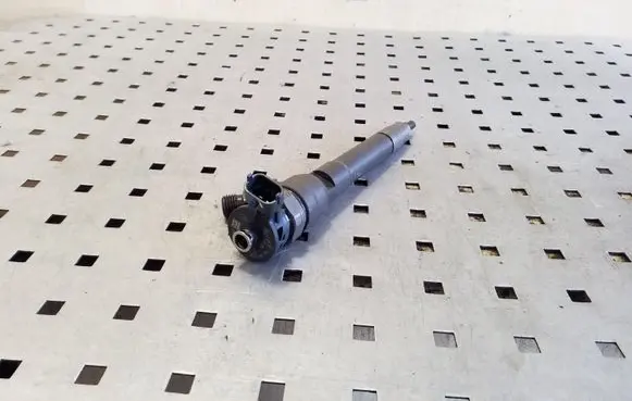 Nissan Qashqai Fuel injector H8201055367 0445110414