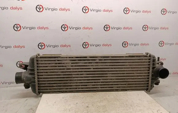 Opel Vivaro Intercooler radiator 8200219497