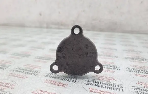 Volkswagen Touareg I Timing chain cover 070109283