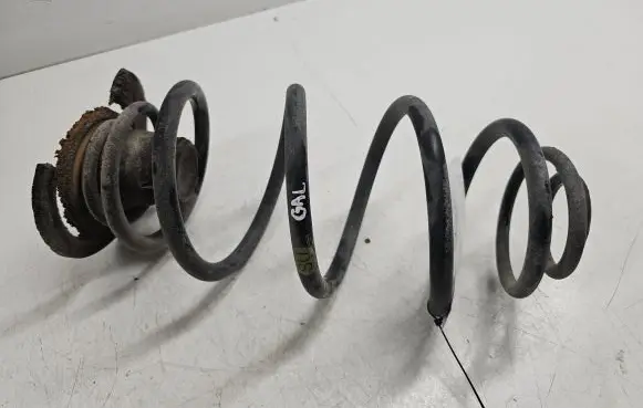 Opel Astra H Rear coil spring