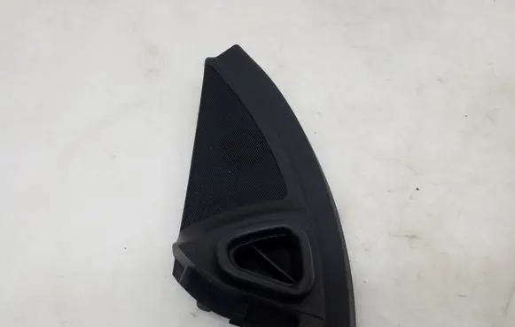 Other front door trim element