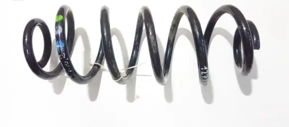 Rear coil spring
