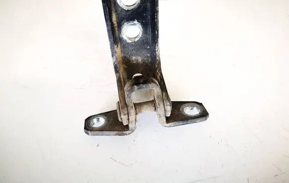 Peugeot 4007 Rear door lower hinge