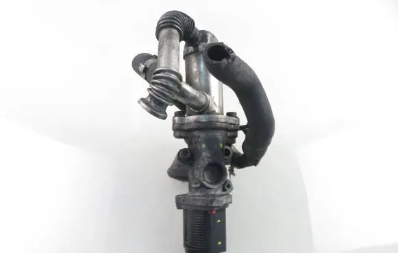 Fiat Punto (199) EGR valve 50024007 55219499 55197846