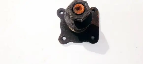 Ford Focus Stub axle 