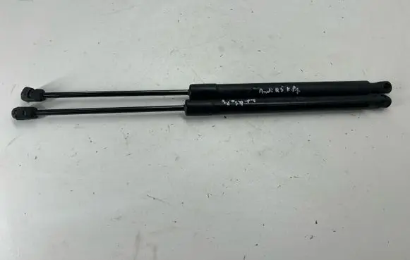 Tailgate/trunk strut/damper