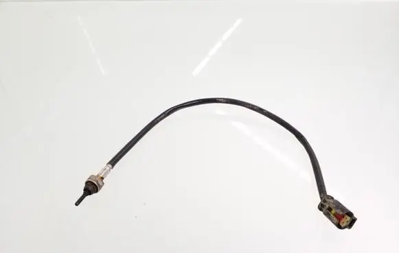 BMW X1 E84 Exhaust gas temperature sensor 7811913 010728000462