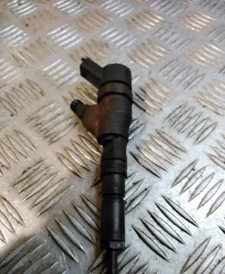 Citroen C5 Fuel injector 0445110076 964172880